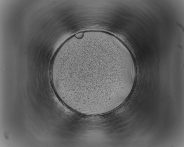 X0000100870998200807181232