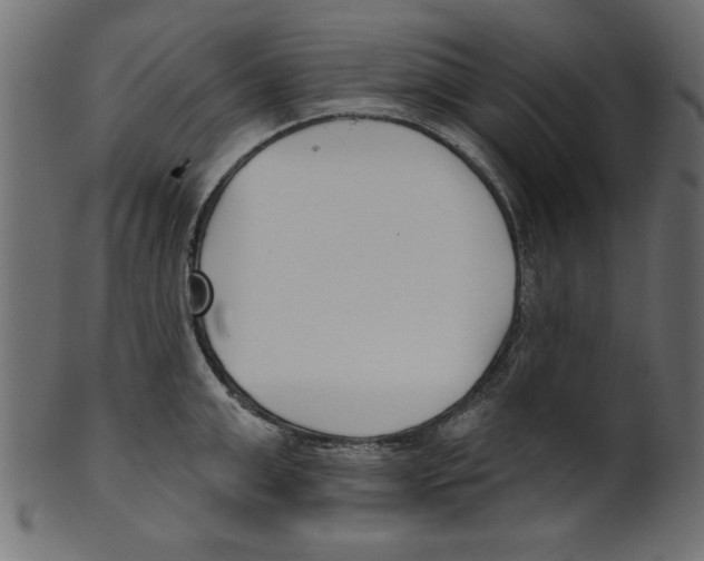 X0000100870999200807181232