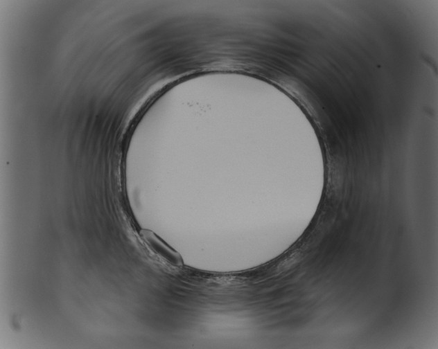 X0000100871000200807181232