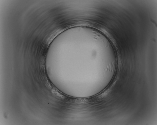 X0000100871001200807181232