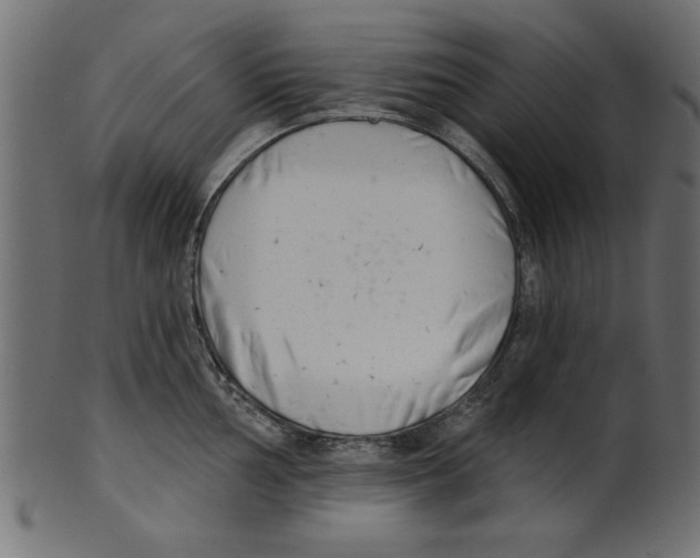 X0000100871002200807181232