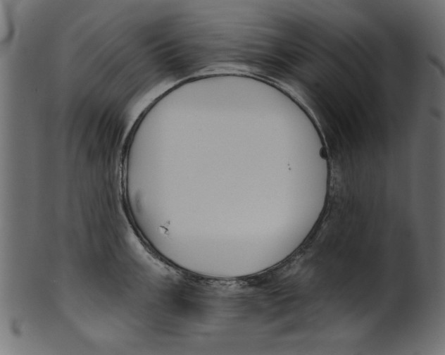 X0000100871003200807181232
