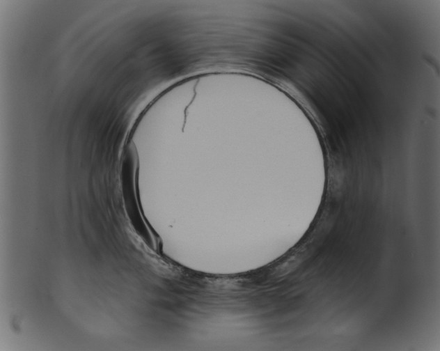 X0000100871004200807181232