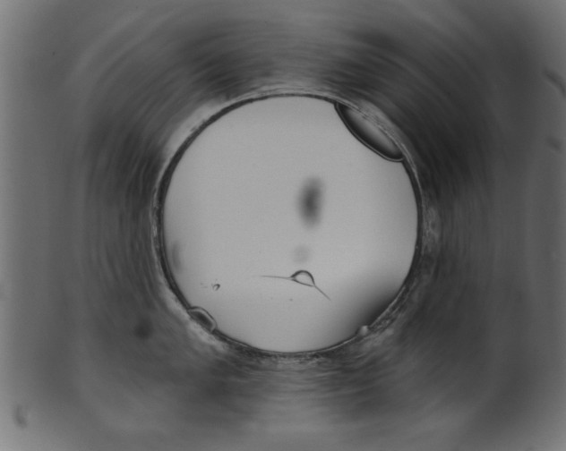 X0000100871005200807181232