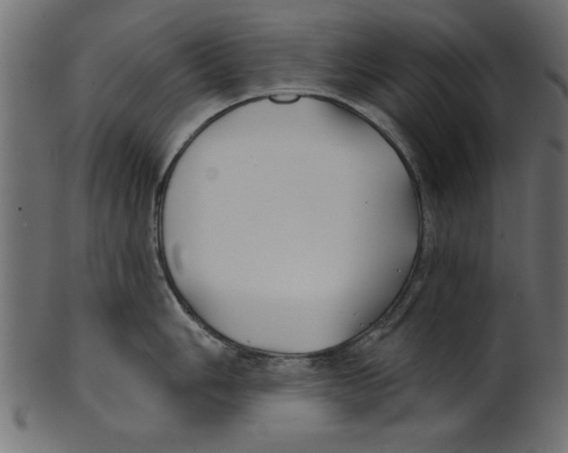 X0000100871006200807181232