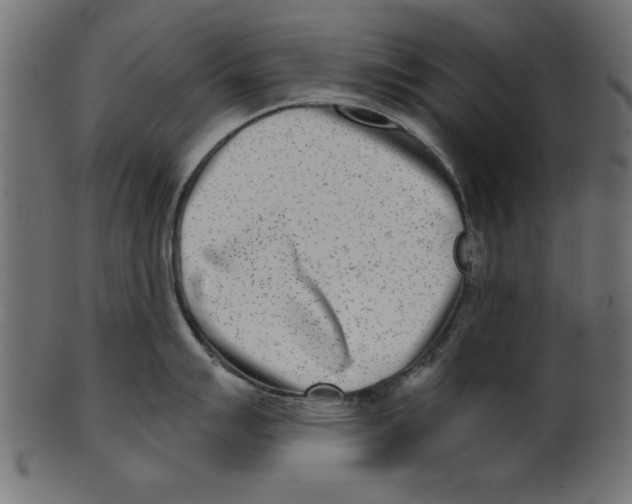 X0000100871007200807181232