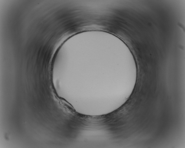 X0000100871008200807181232
