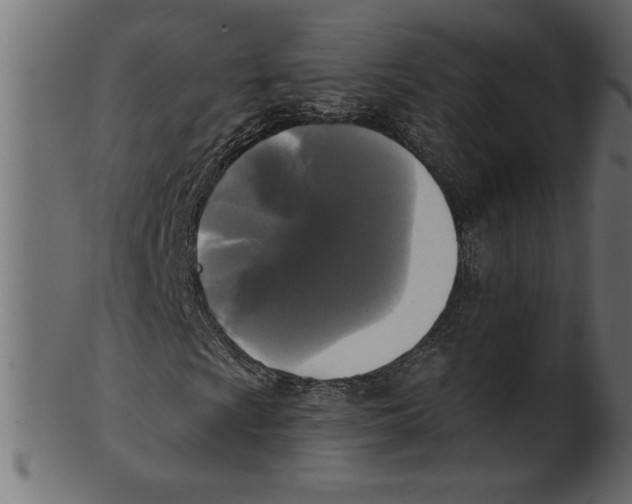 X0000100871009200807181231