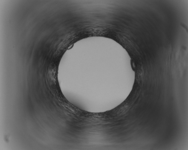 X0000100871010200807181231