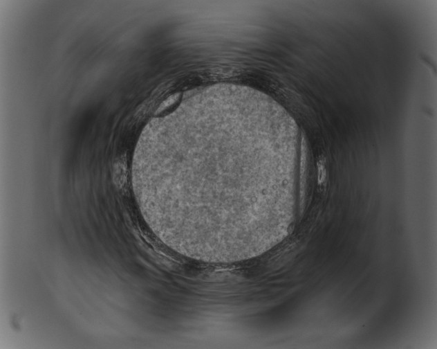X0000100871011200807181231