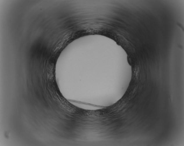X0000100871012200807181231