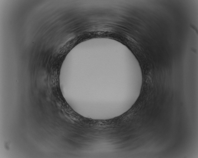 X0000100871014200807181231