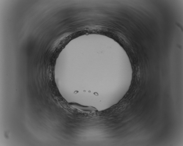 X0000100871016200807181231