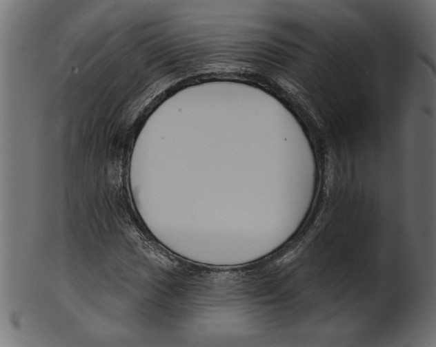 X0000100871017200807181231