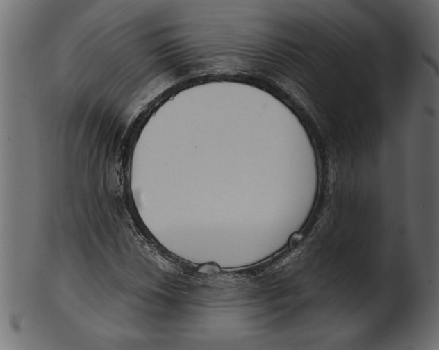 X0000100871018200807181231