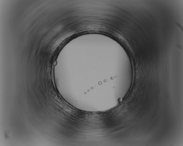 X0000100871019200807181231