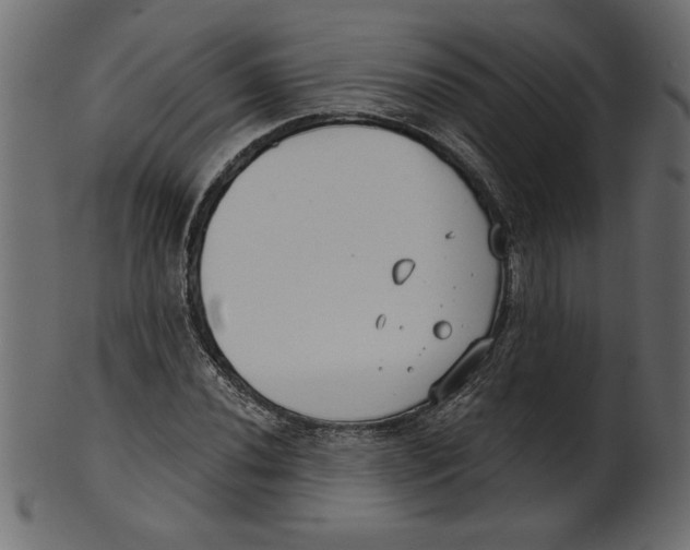 X0000100871020200807181231