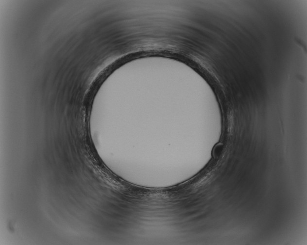 X0000100871021200807181231