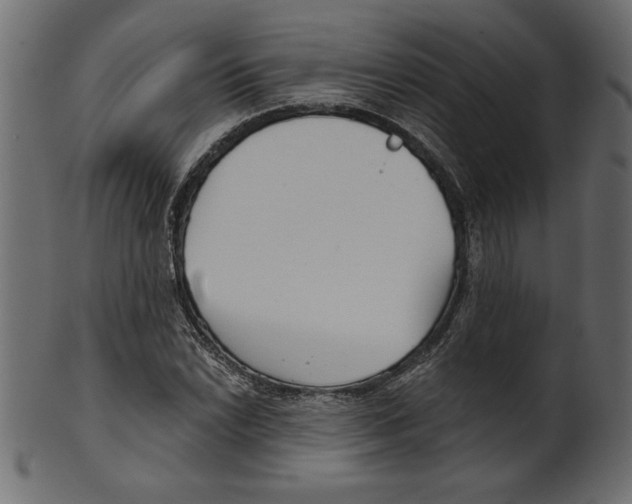 X0000100871022200807181231