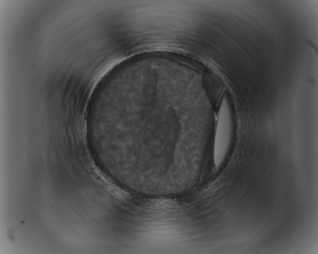 X0000100871024200807181231