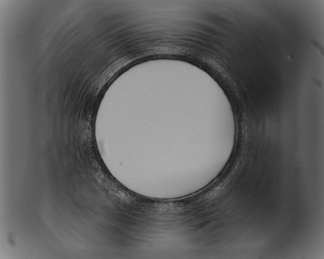 X0000100871025200807181232