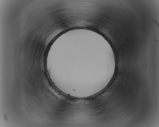 X0000100871026200807181232