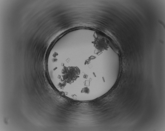X0000100871028200807181232