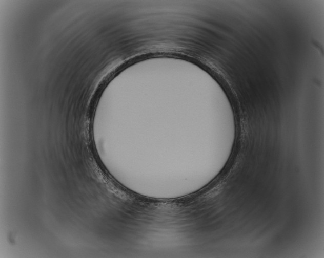 X0000100871029200807181232