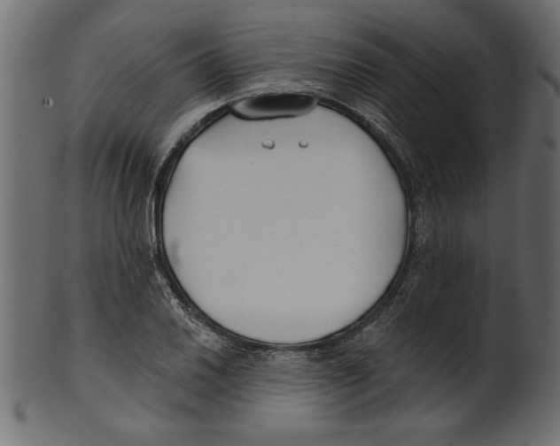 X0000100871030200807181232