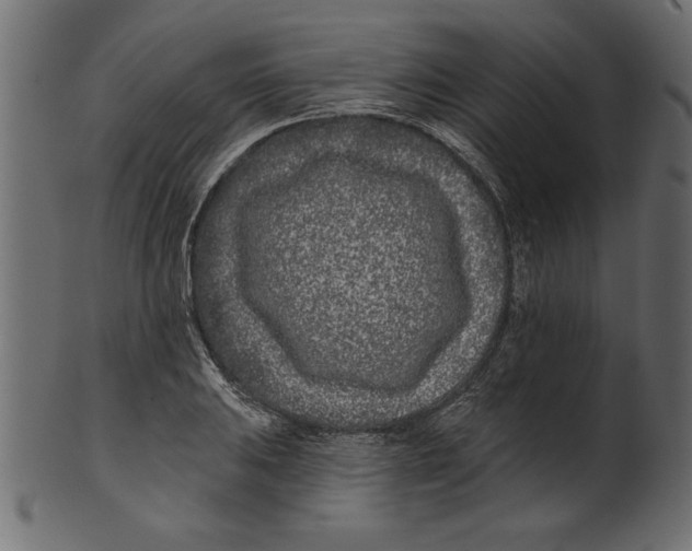 X0000100871031200807181232