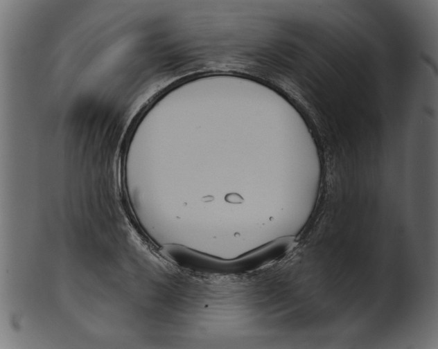 X0000100871032200807181232