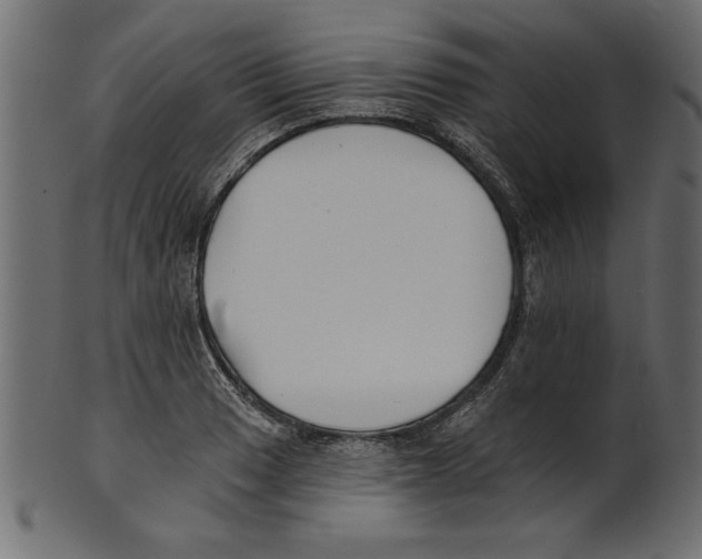 X0000100871033200807181232