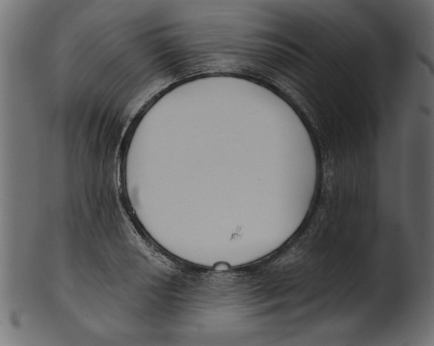 X0000100871034200807181232