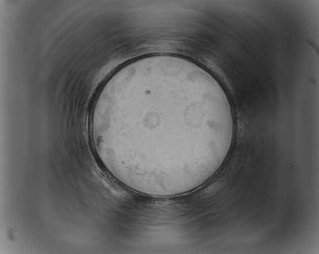X0000100871035200807181232