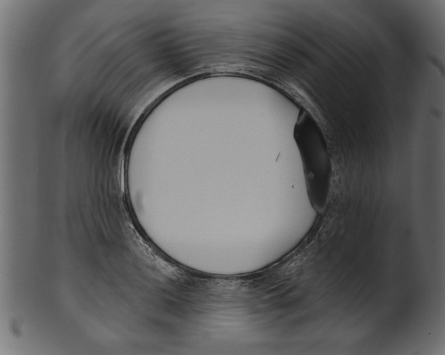 X0000100871036200807181232
