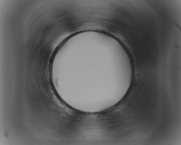 X0000100871038200807181232