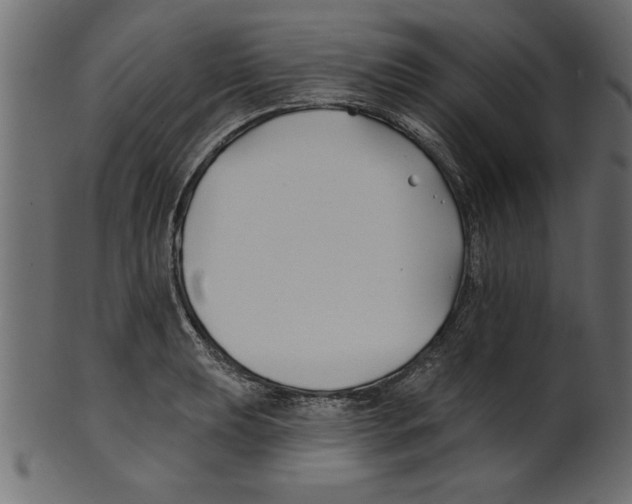 X0000100871039200807181232