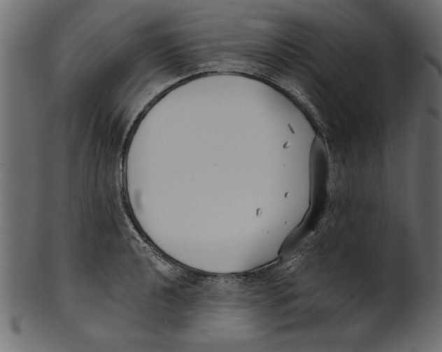 X0000100871040200807181232
