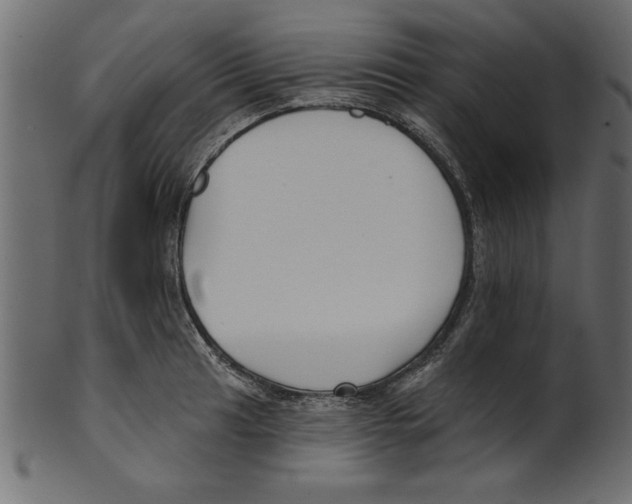 X0000100871041200807181232