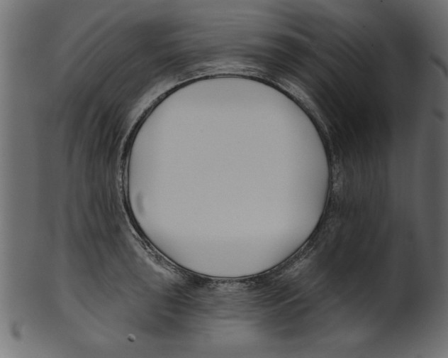 X0000100871043200807181232
