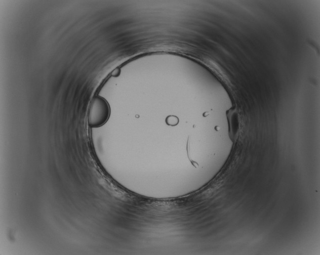 X0000100871044200807181232