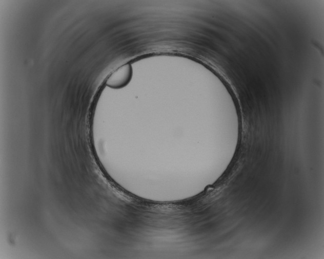 X0000100871045200807181232