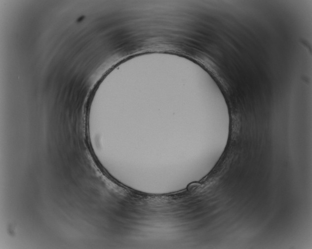 X0000100871046200807181232