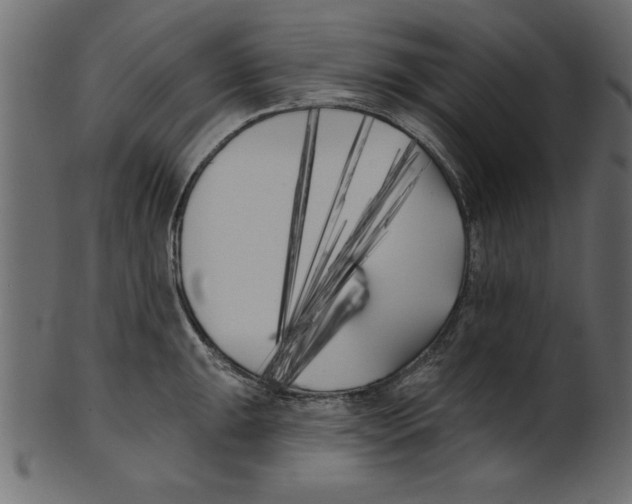 X0000100871047200807181232