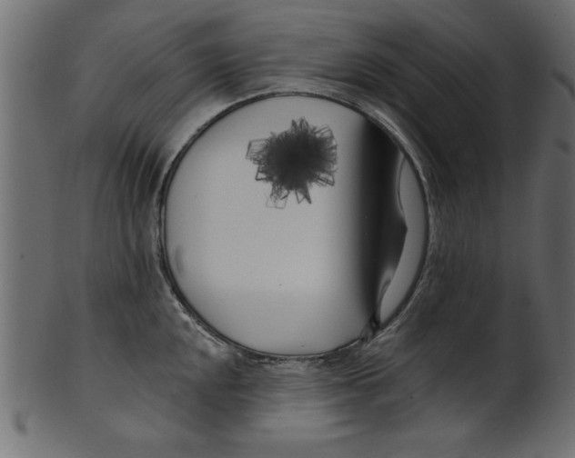 X0000100871048200807181232