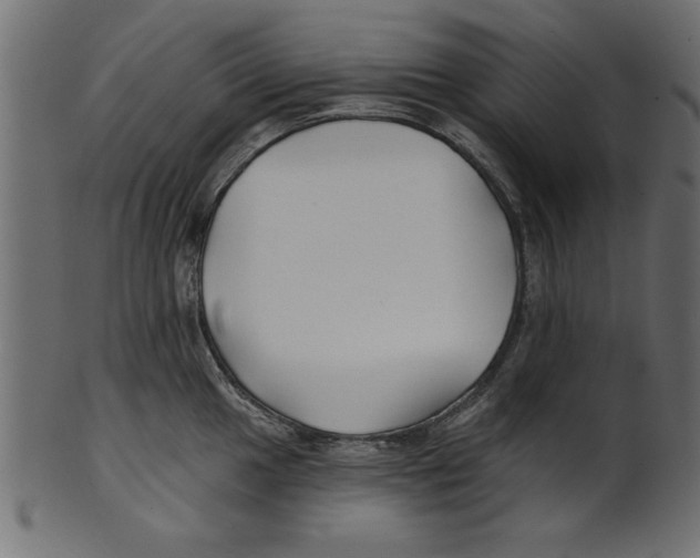 X0000100871049200807181232