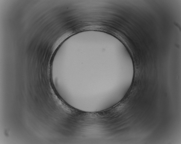 X0000100871050200807181232