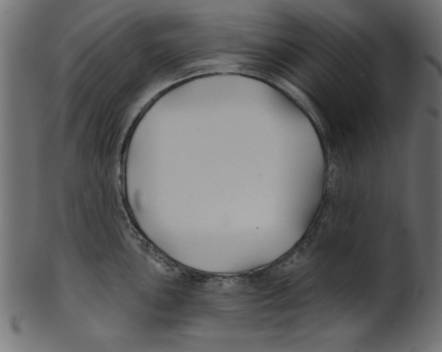 X0000100871051200807181232