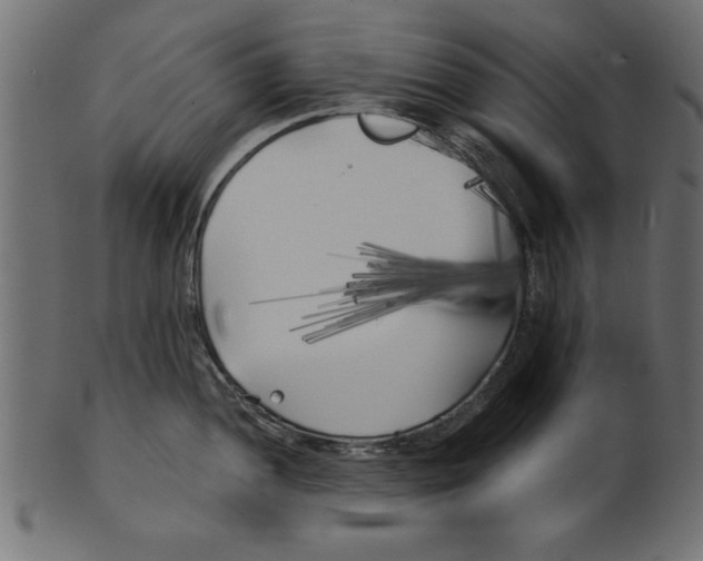 X0000100871052200807181232