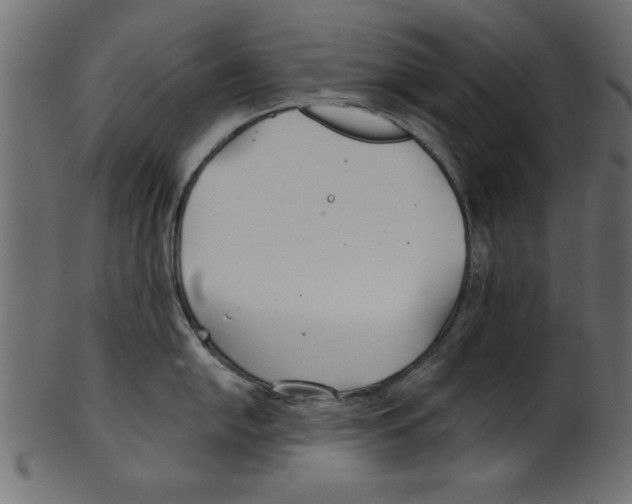 X0000100871054200807181232